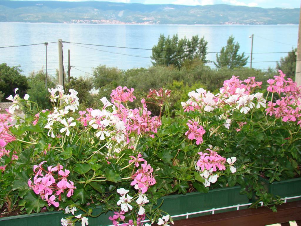 Apartments Villa Sunce Dugi Rat Rom bilde